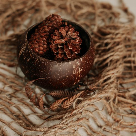 Coconut Flower Vase