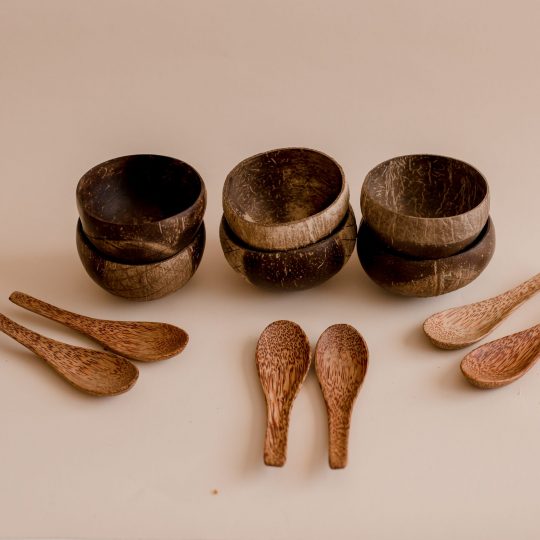 Rice Bowl and Spoon Set