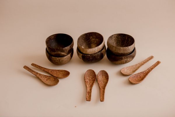 Rice Bowl and Spoon Set