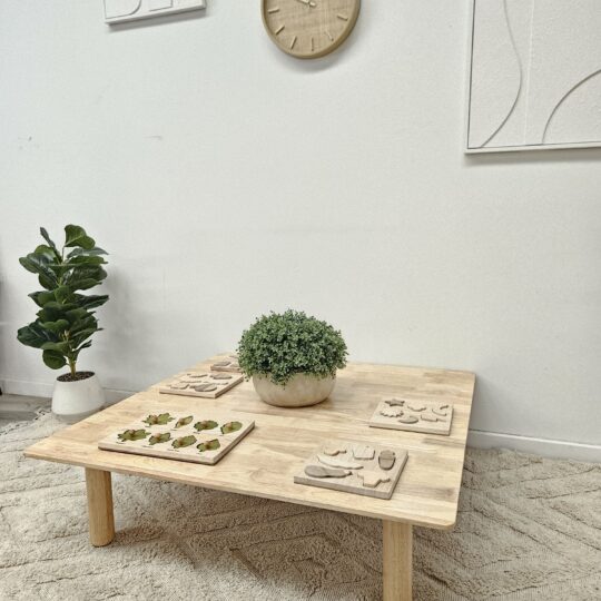 Square low table